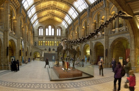NaturalHistoryMuseum_Dinosaur